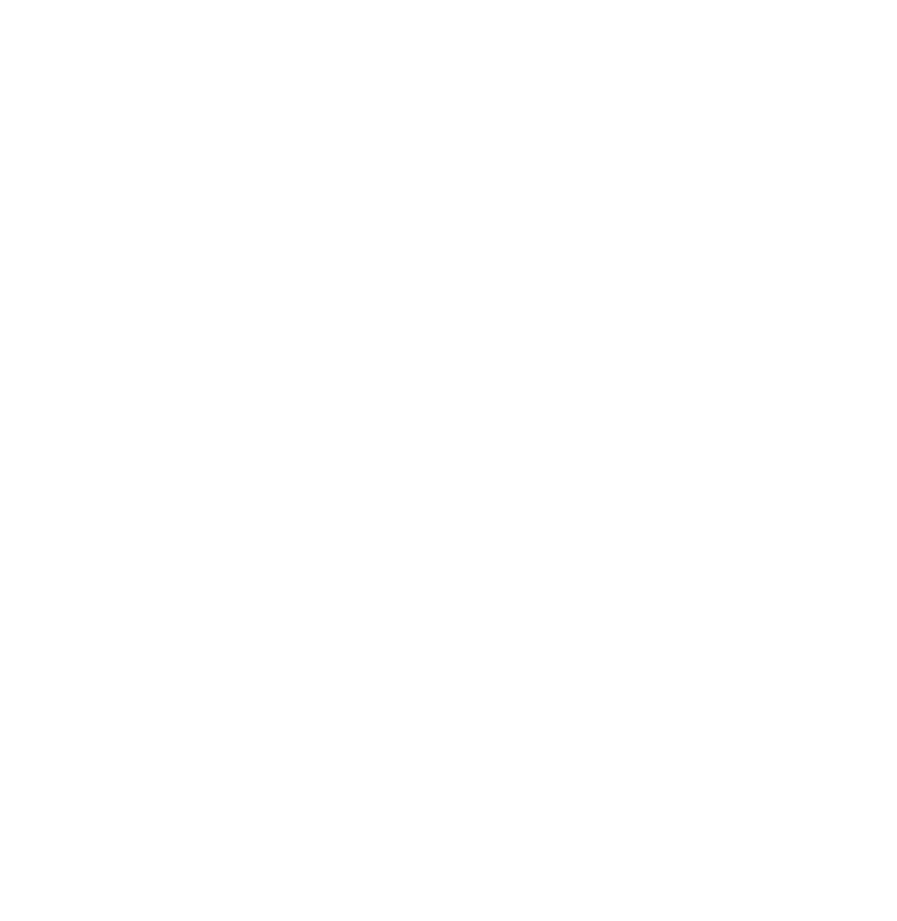 Royal VIP Yachts